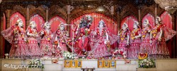 Daily Darshan