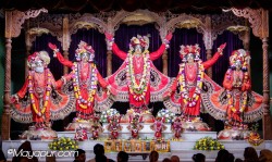 Daily Darshan