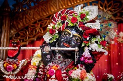 Daily Darshan