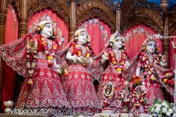 Daily Darshan