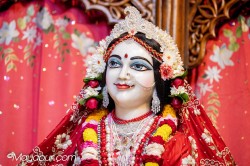 Daily Darshan