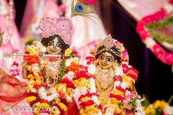 Daily Darshan