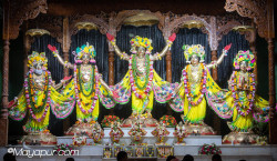 Daily Darshan