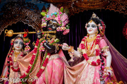 Daily Darshan
