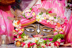Daily Darshan