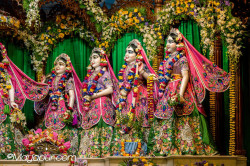 Daily Darshan