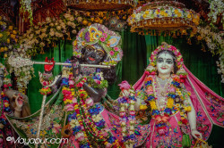 Daily Darshan
