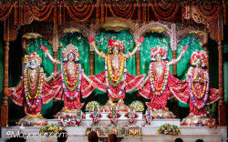 Daily Darshan