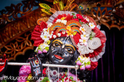 Daily Darshan