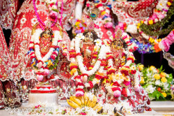 Daily Darshan