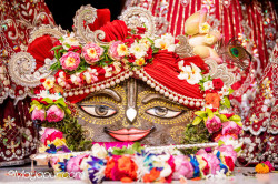 Daily Darshan