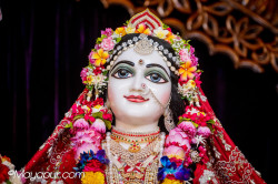 Daily Darshan