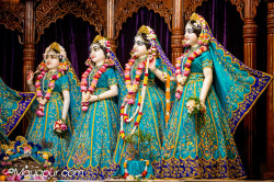 Daily Darshan