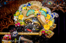 Daily Darshan
