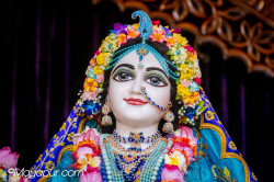Daily Darshan