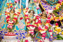 Daily Darshan