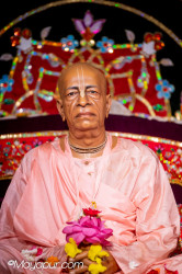 Daily Darshan