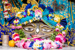 Daily Darshan
