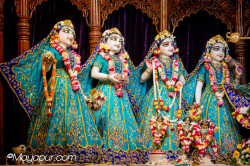 Daily Darshan