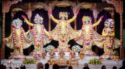 Daily Darshan