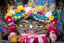 Daily Darshan