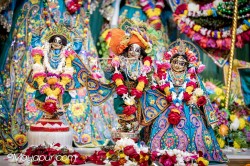 Daily Darshan