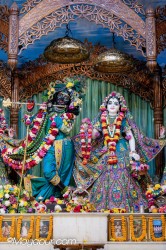 Daily Darshan