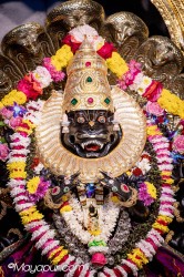 Daily Darshan