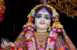 Daily Darshan