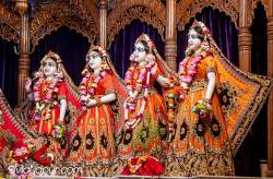 Daily Darshan