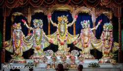 Daily Darshan