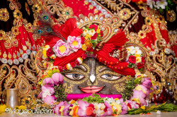 Daily Darshan