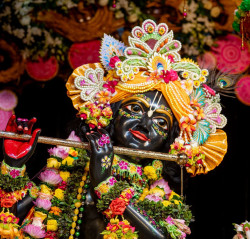 Daily Darshan
