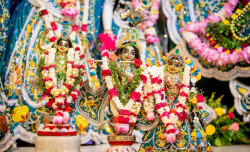 Daily Darshan