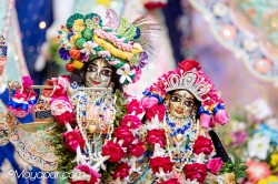 Daily Darshan