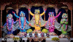 Daily Darshan