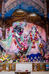 Daily Darshan