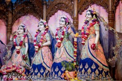 Daily Darshan