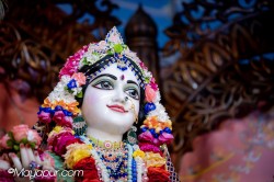 Daily Darshan