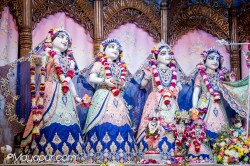 Daily Darshan