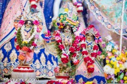 Daily Darshan
