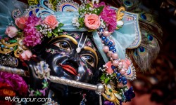 Daily Darshan