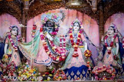 Daily Darshan