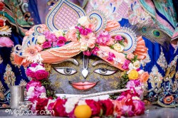 Daily Darshan