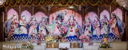 Daily Darshan