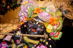 Daily Darshan