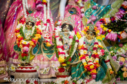 Daily Darshan