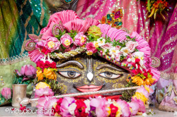 Daily Darshan