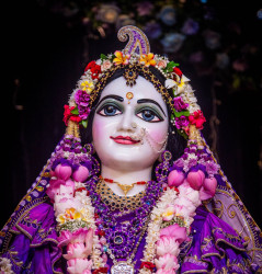 Daily Darshan
