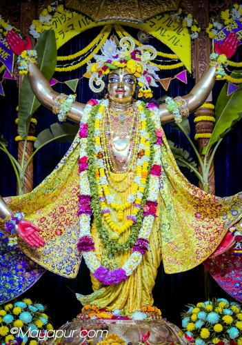 Daily Darshan